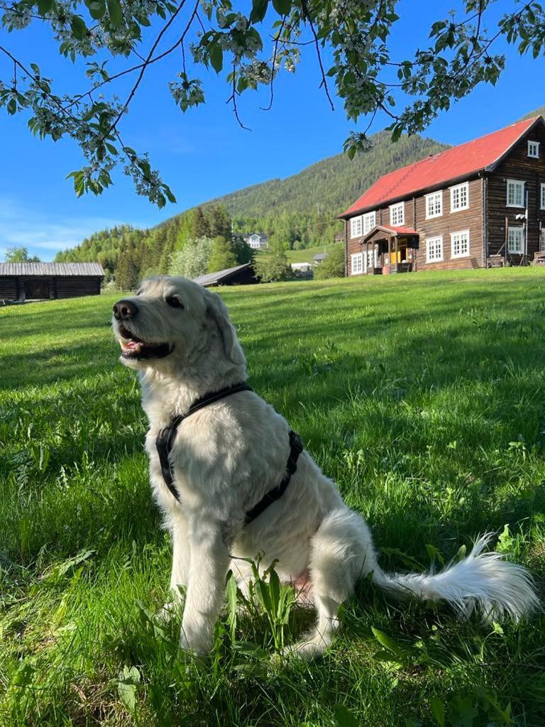 Sevletunet B&B And Cabins Rodberg Exterior foto