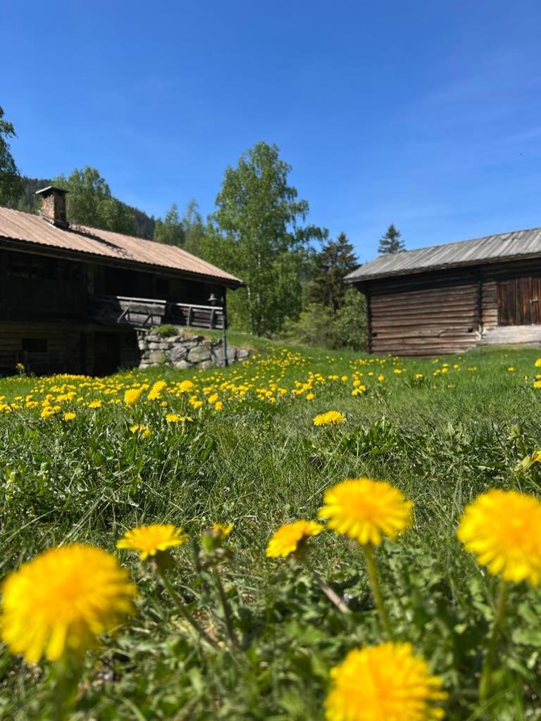 Sevletunet B&B And Cabins Rodberg Exterior foto